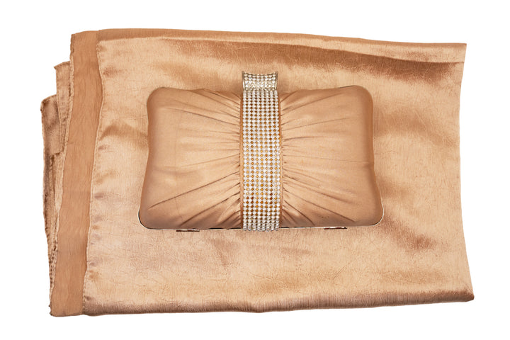Karen Champagne Handbag And Pashmina